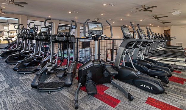 Cardio Equipment In Fitness Center