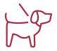 Pet Policy Icon